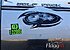 2019 Forest River Cherokee for sale 300177845